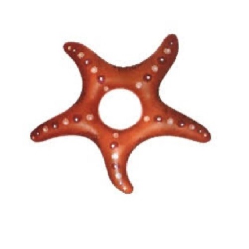 Decoracao